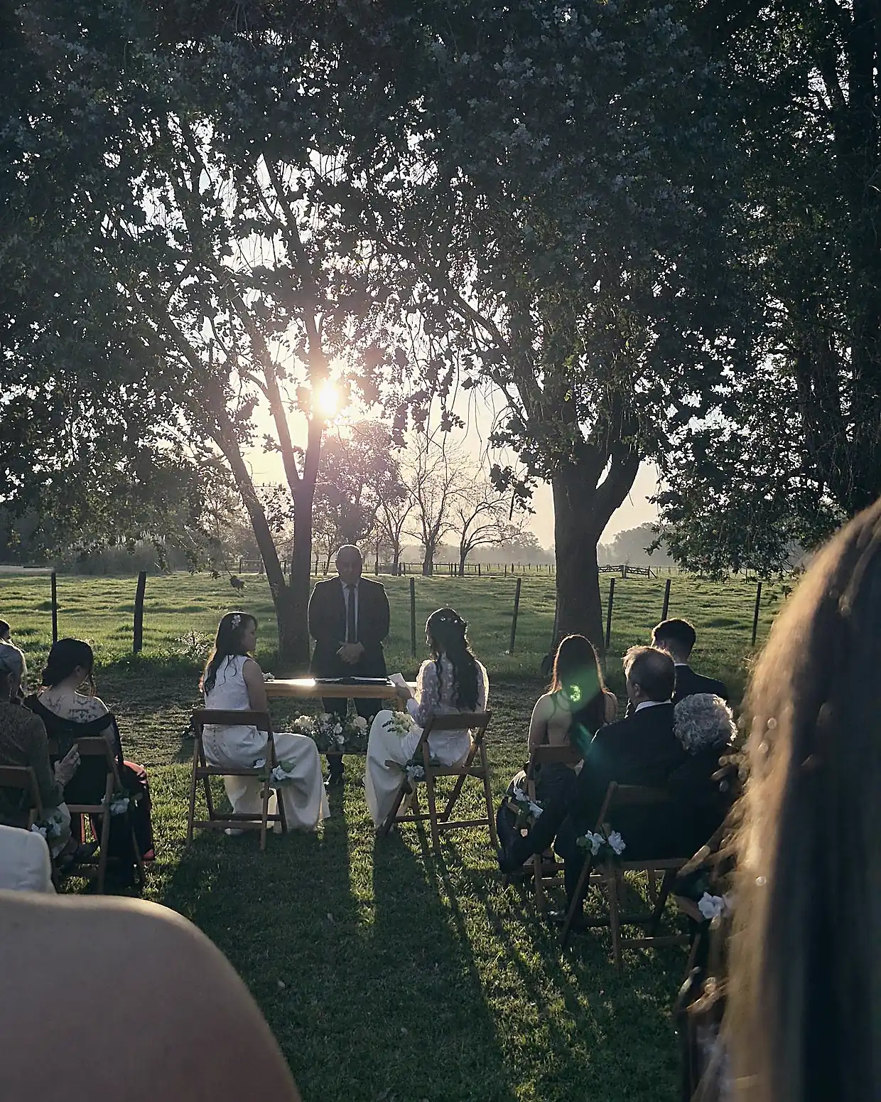 Ceremonia civil al atardecer, el sol entre los árboles detrás de las novias